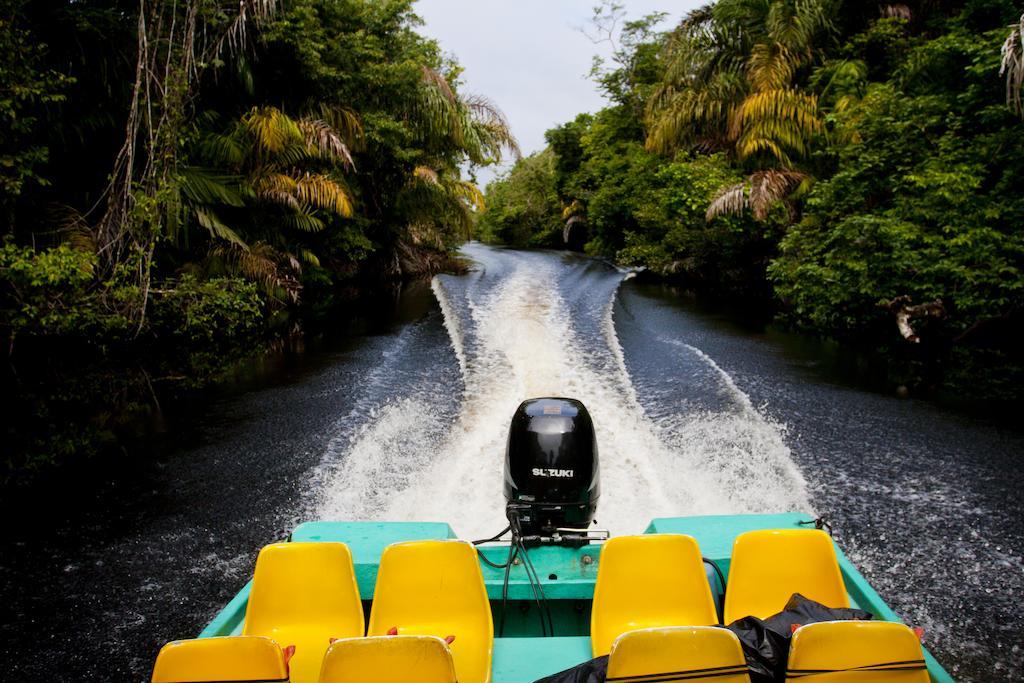 Turtle Beach Lodge Tortuguero Bagian luar foto