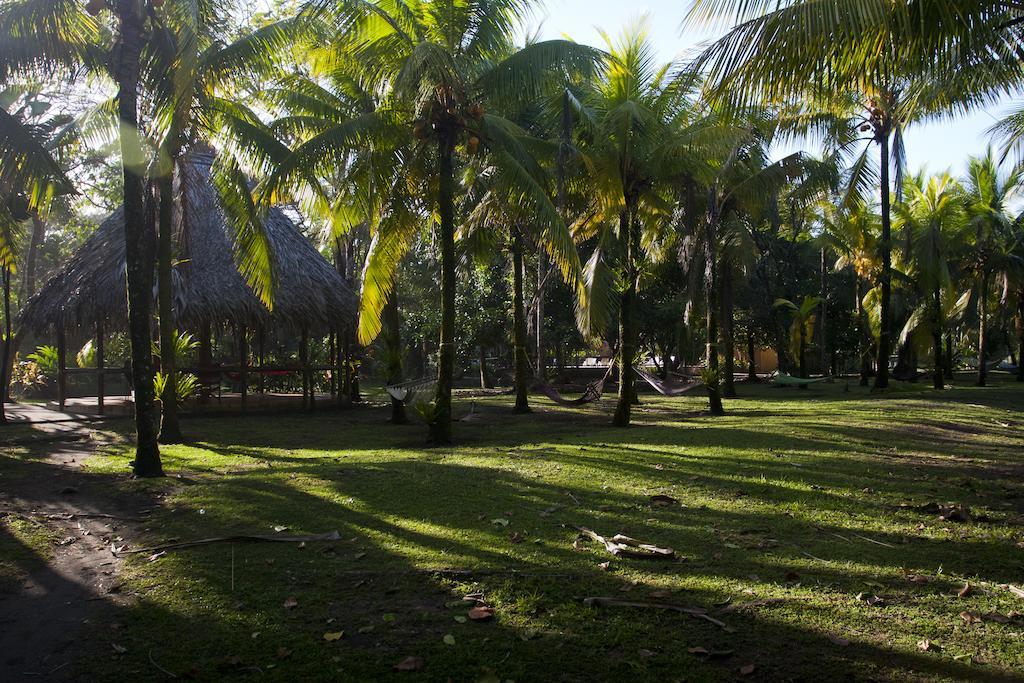 Turtle Beach Lodge Tortuguero Bagian luar foto