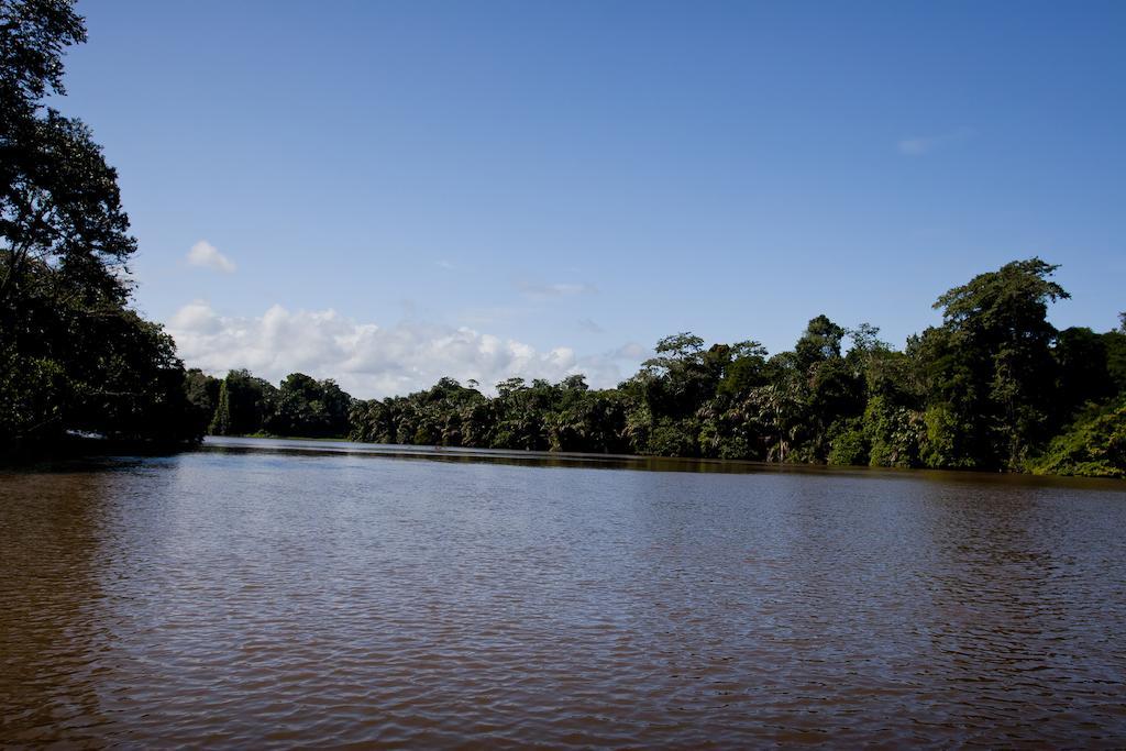 Turtle Beach Lodge Tortuguero Bagian luar foto