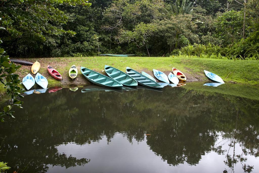Turtle Beach Lodge Tortuguero Bagian luar foto