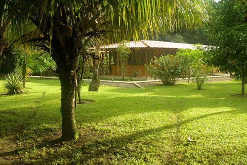 Turtle Beach Lodge Tortuguero Bagian luar foto